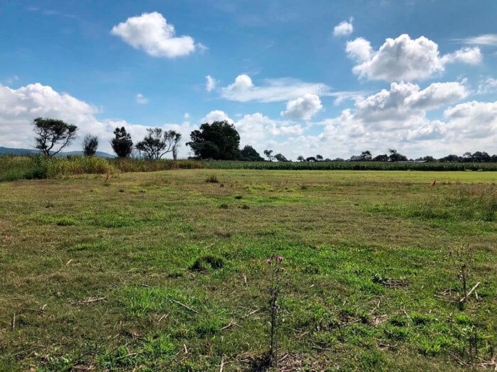 LAS 5 RAZONES PARA INVERTIR EN UN TERRENO Viprosa Inmobiliaria