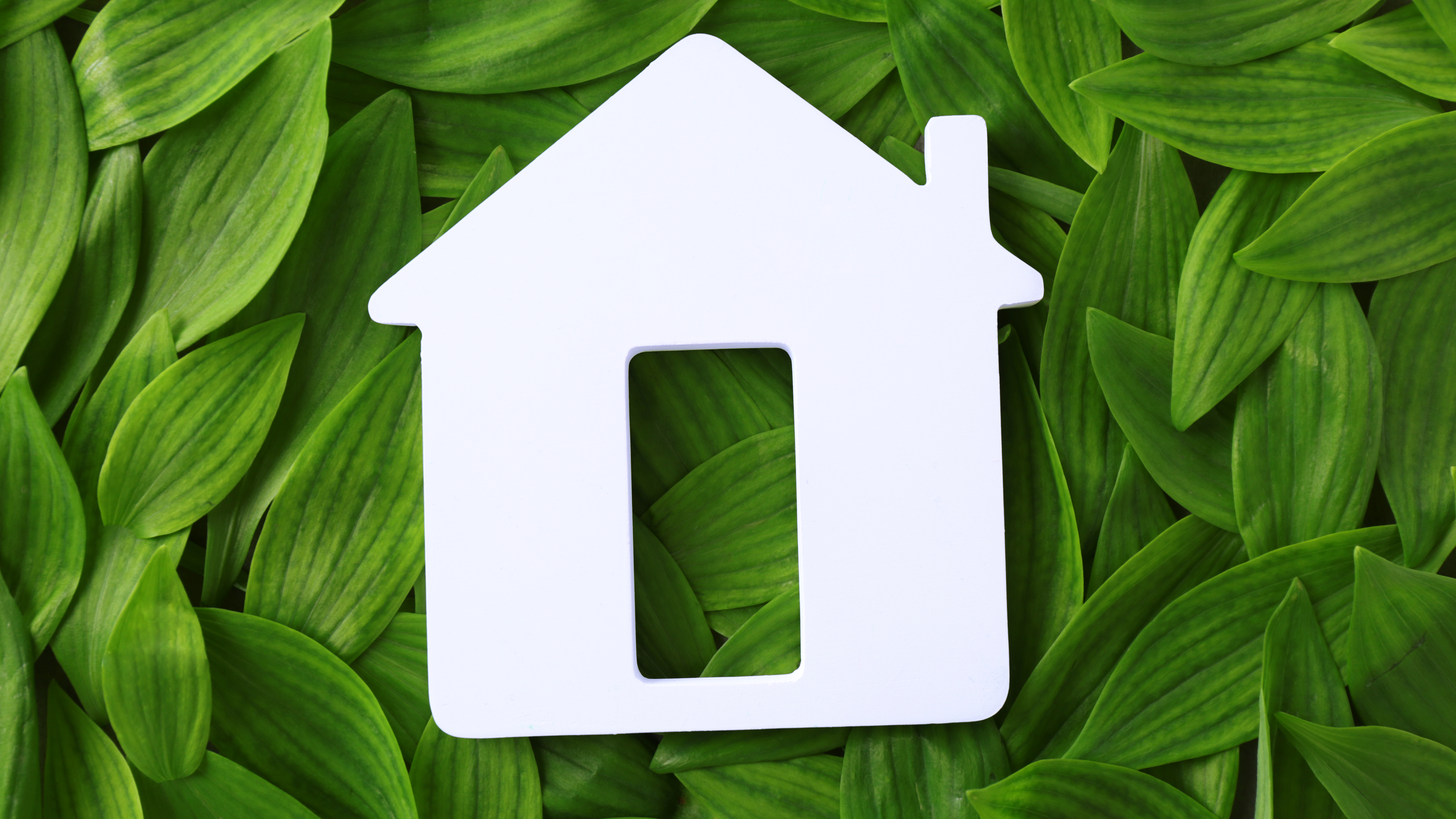 Cuatro maneras de hacer tu hogar Sostenible